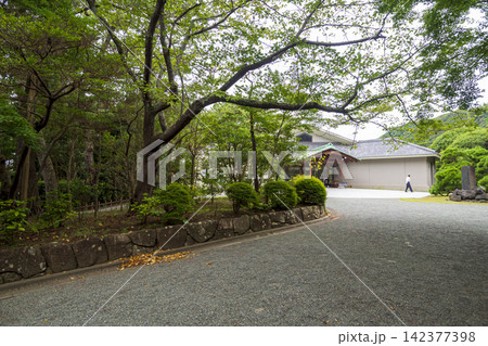 葉山しおさい公園の夏 葉山しおさい公園の夏 142377398