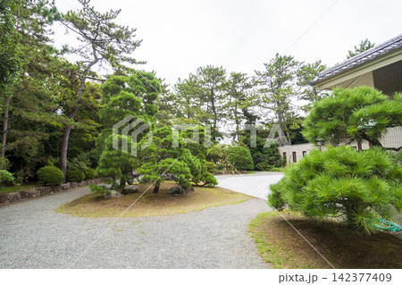葉山しおさい公園の夏 葉山しおさい公園の夏 142377409