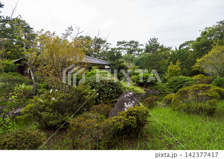 葉山しおさい公園の夏 葉山しおさい公園の夏 142377417