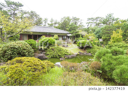 葉山しおさい公園の夏 葉山しおさい公園の夏 142377419