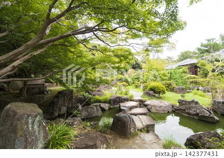 葉山しおさい公園の夏 葉山しおさい公園の夏 142377431