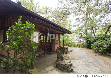 葉山しおさい公園の夏 142377442