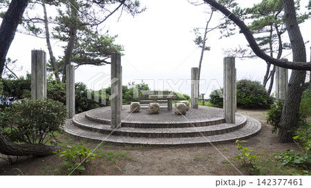 葉山しおさい公園の夏 葉山しおさい公園の夏 142377461