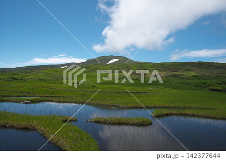 月山弥陀ヶ原湿原 月山弥陀ヶ原湿原 142377644