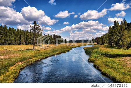 Scenic River Landscape with Pine Forest and Blue Sky Scenic River Landscape with Pine Forest and Blue Sky 142378151