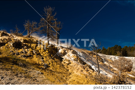 Geothermal Travertine Terraces with Dead Trees Under Dark Blue Sky Geothermal Travertine Terraces with Dead Trees Under Dark Blue Sky 142378152