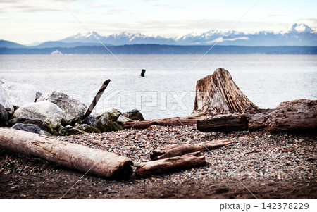 Driftwood on Rocky Beach with Ocean and Snowy Mountains Driftwood on Rocky Beach with Ocean and Snowy Mountains 142378229