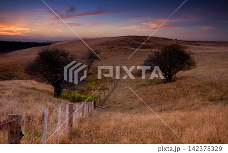 Sunset Grassland Hills with Fence and Lone Trees 142378329