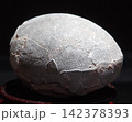 恐竜の卵 142378393