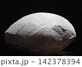 恐竜の卵 142378394