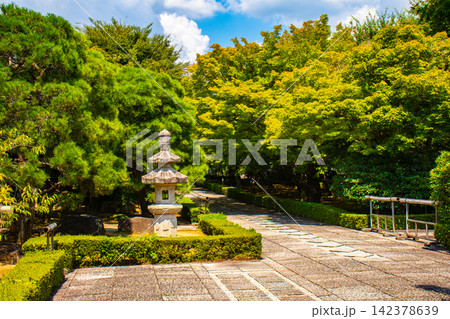 相国寺承天閣 夏もみじに爽やかな風が通る前庭の風景 相国寺承天閣 夏もみじに爽やかな風が通る前庭の風景 142378639