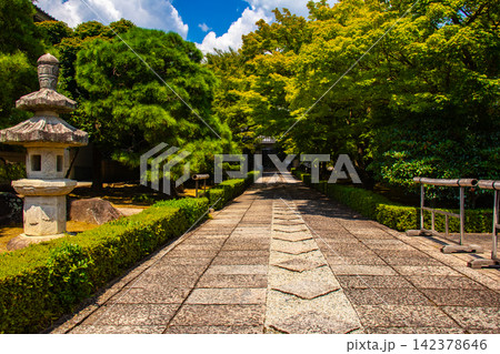 相国寺承天閣 夏もみじに爽やかな風が通る前庭の風景 相国寺承天閣 夏もみじに爽やかな風が通る前庭の風景 142378646