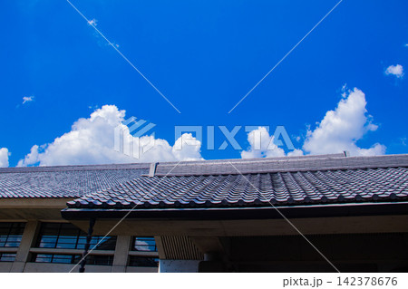 相国寺承天閣 夏もみじに爽やかな風が通る前庭の風景 相国寺承天閣 夏もみじに爽やかな風が通る前庭の風景 142378676