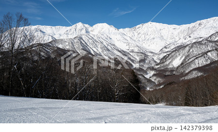 スキー場ゲレンデ風景と北アルプス 長野県白馬村 スキー場ゲレンデ風景と北アルプス 長野県白馬村 142379398