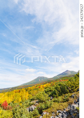 十勝岳連峰の美瑛岳と美瑛富士(秋の北海道) 十勝岳連峰の美瑛岳と美瑛富士(秋の北海道) 142379527