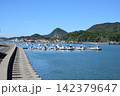 モタレノ瀬戸 142379647