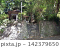 天神の樟  142379650