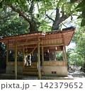 天神の樟  142379652