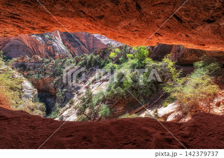 Zion Canyon Cave Overlook Zion Canyon Cave Overlook 142379737