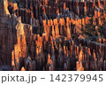 Bryce Canyon Sunrise View 142379945