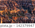 Bryce Canyon Sunrise View 142379947