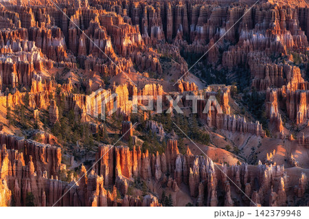 Bryce Canyon Sunrise View 142379948