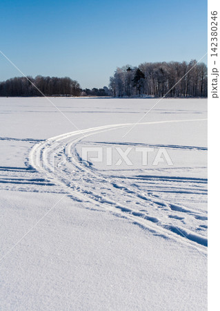 Snowy field with traces, trees at winter 142380246