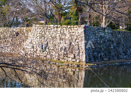 【日本100名城】彦根城 中堀石垣の点検作業風景1 滋賀県彦根市 【日本100名城】彦根城 中堀石垣の点検作業風景1 滋賀県彦根市 142380802