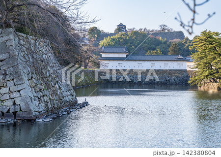 【日本100名城】彦根城　中堀と佐和口多門櫓と天守の春の風景　滋賀県彦根市 142380804