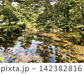 庭園 142382816