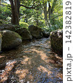 夏の川 142382819
