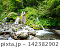 吐竜の滝 142382902