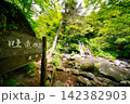吐竜の滝 142382903