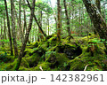 白駒の森 142382961