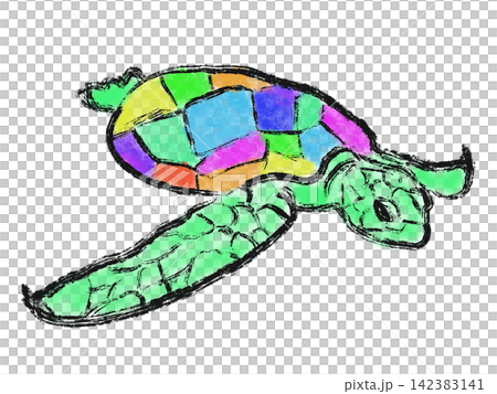 Colorful and beautiful turtles Colorful and beautiful turtles 142383141
