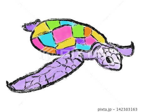 カラフルな美しいカメ カラフルな美しいカメ 142383163