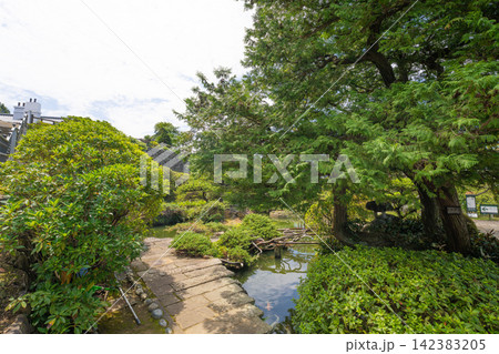 大木の木陰と池が美しい長崎・グラバー園の庭園 大木の木陰と池が美しい長崎・グラバー園の庭園 142383205