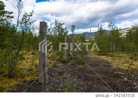 Row of old concrete posts surrounded by young birch trees and northern vegetation in the Khibiny Mountains, Murmansk Region, Russia. Weathered man-made structures blend into the subarctic landscape as Row of old concrete posts surrounded by young birch trees and northern vegetation in the Khibiny Mountains, Murmansk Region, Russia. Weathered man-made structures blend into the subarctic landscape as 142383518