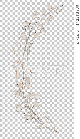 Hand painted watercolor dried flower bouquet with translucent lunaria honesty pods, dark seed buds, tan umbel florets and slender dried grasses in soft neutral beige isolated on white background Hand painted watercolor dried flower bouquet with translucent lunaria honesty pods, dark seed buds, tan umbel florets and slender dried grasses in soft neutral beige isolated on white background 142383539