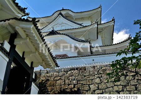 日本100名城・伊賀上野城 日本100名城・伊賀上野城 142383719