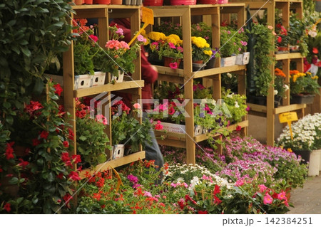 Flowers on sale in the city 142384251