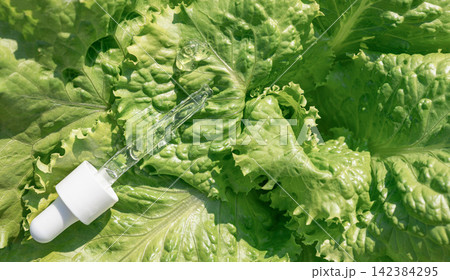 Skincare products, serum essence, pipetted onto fresh green lettuce leaves. Nature as a laboratory, pure, eco-friendly beauty of plant origin, biotech cosmetics 142384295