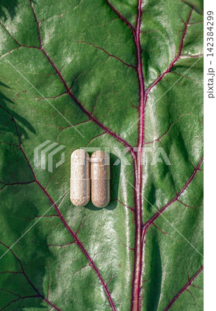 Close-up of vegan capsules containing plant powder resting on green beet leaf with burgundy veins resembling blood vessels. Concept for natural supplements for hematopoiesis, anemia treatment 142384299