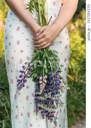 Close-up of woman's hands holding freshly picked meadow bouquet of purple lupines, against backdrop of summer dress with floral print. Natural seasonal beauty and rustic lifestyle Close-up of woman's hands holding freshly picked meadow bouquet of purple lupines, against backdrop of summer dress with floral print. Natural seasonal beauty and rustic lifestyle 142384320