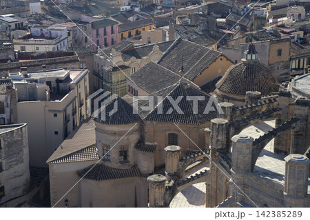 Tortosa cityscape with santa maria cathedral rooftops Tortosa cityscape with santa maria cathedral rooftops 142385289