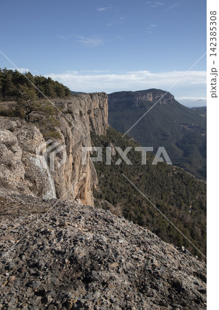 Towering cliff overlooking forest and distant mountain landscape 142385308