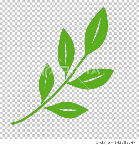 Fresh green leaf branch foliage botanical nature plant spring summer organic flora sticker print visual graphic clipart artwork design icon element illustration 142385347