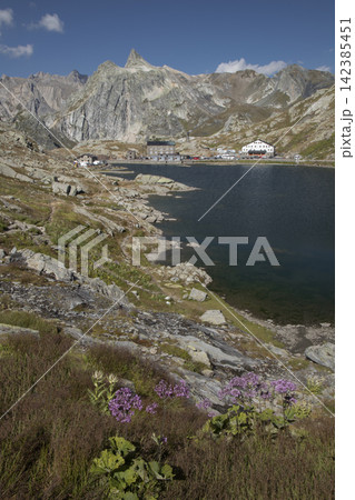 Great st bernard pass hospitium and lake in the alps Great st bernard pass hospitium and lake in the alps 142385451