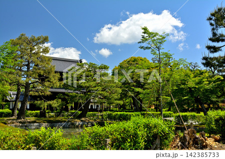京都・建仁寺 京都・建仁寺 142385733