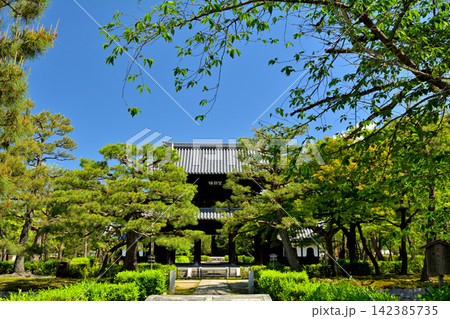 京都・建仁寺 京都・建仁寺 142385735